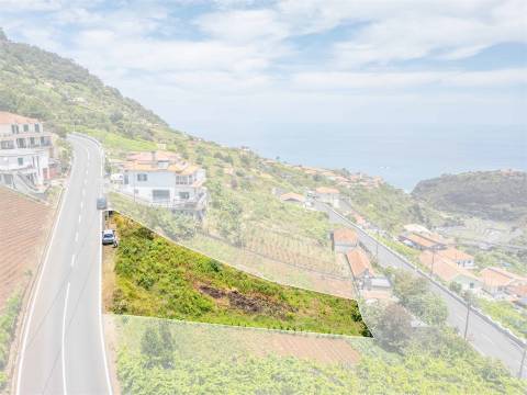Lote de Terreno  Venda em Faial,Santana