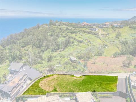 Lote de Terreno  Venda em São Jorge,Santana