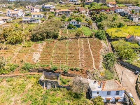 Terreno  Venda em Ponta do Sol,Ponta do Sol