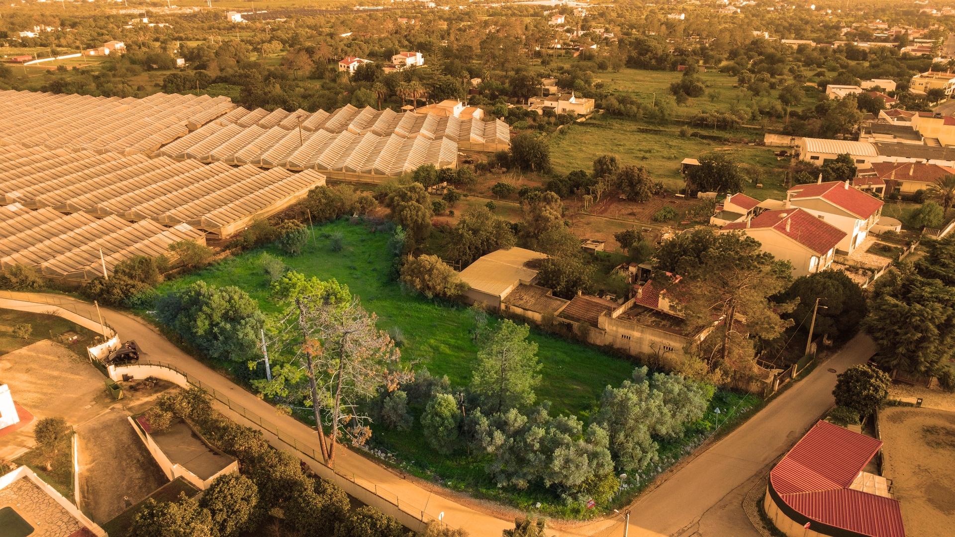 Terreno Para Construção  Venda em Santa Bárbara de Nexe,Faro