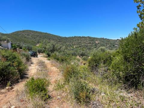 Terreno Rústico  Venda em Santa Bárbara de Nexe,Faro