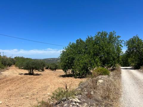 Terreno Rústico  Venda em Santa Bárbara de Nexe,Faro