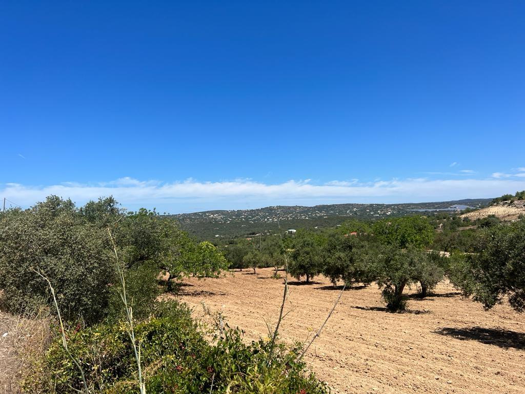 Terreno Rústico  Venda em Santa Bárbara de Nexe,Faro