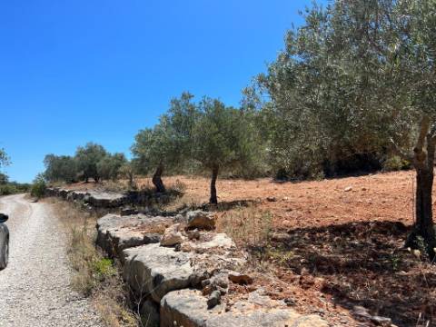 Terreno Rústico  Venda em Santa Bárbara de Nexe,Faro