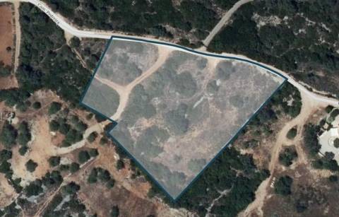 Terreno Rústico  Venda em Santa Bárbara de Nexe,Faro