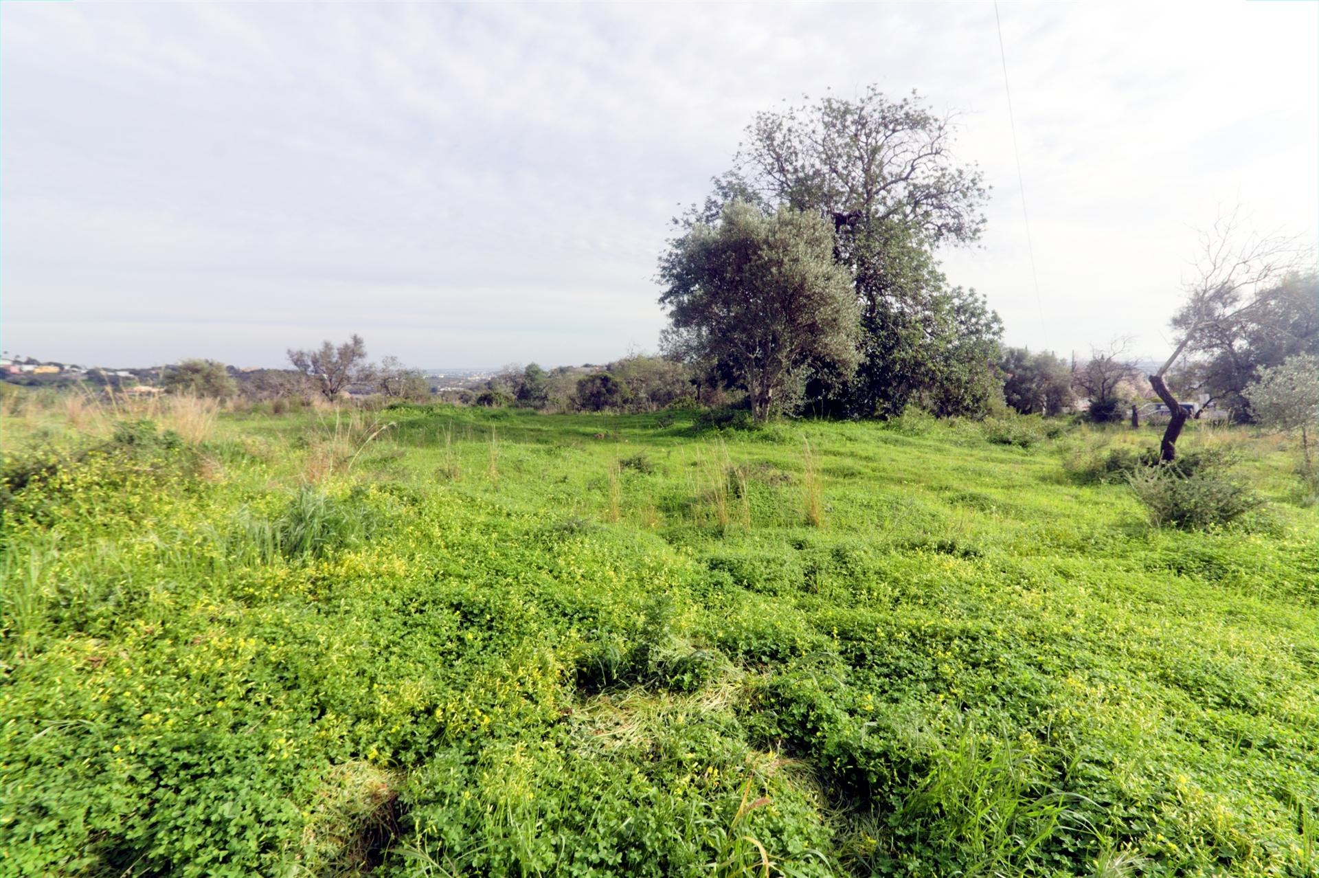 Terreno Para Construção  Venda em Loulé (São Clemente),Loulé