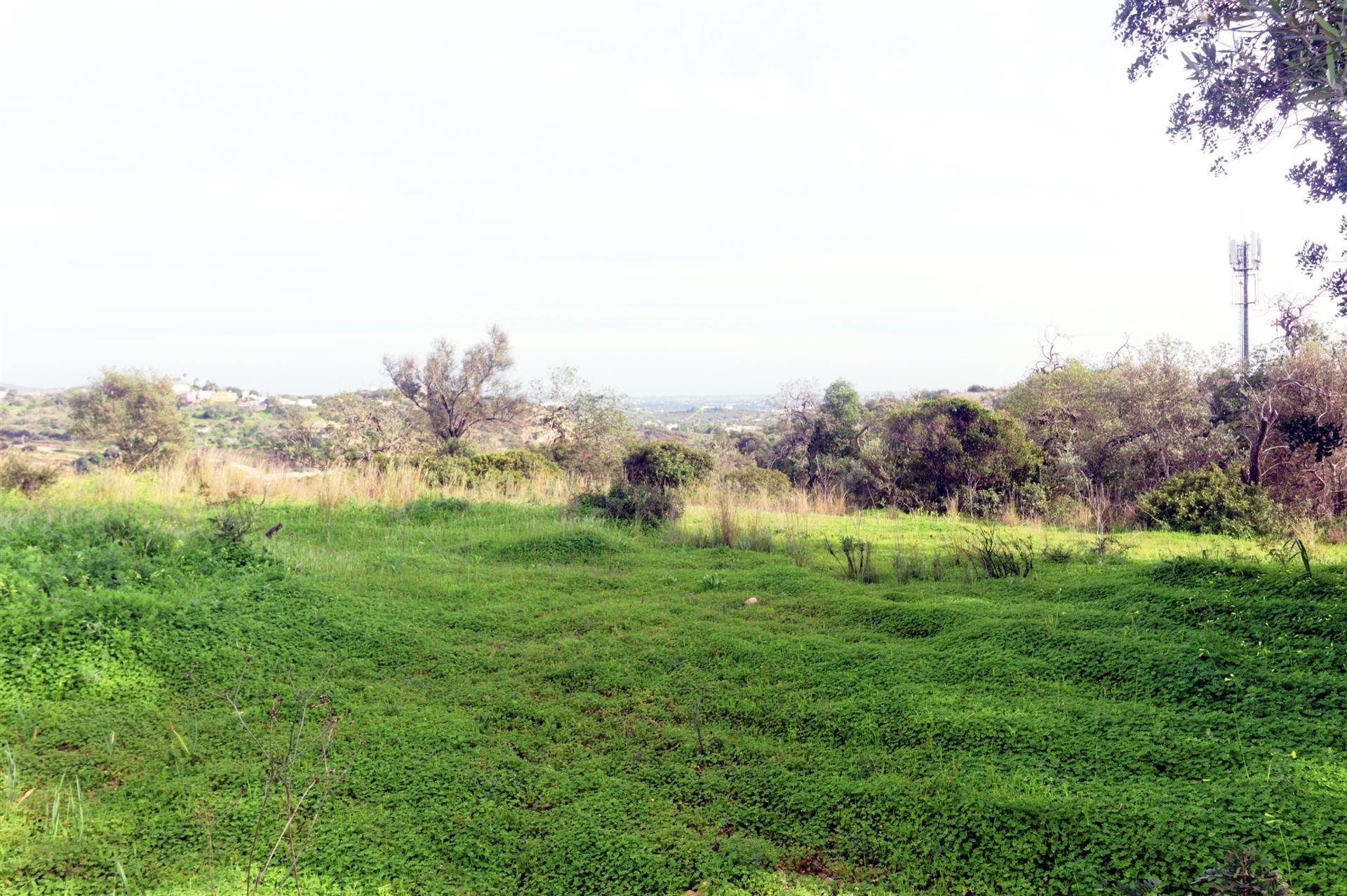 Terreno Para Construção  Venda em Loulé (São Clemente),Loulé