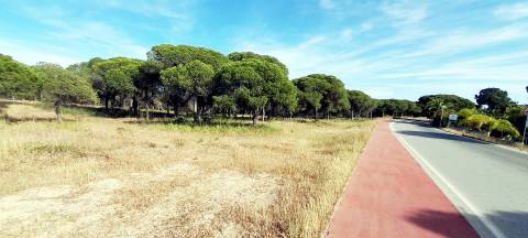 Terreno Rústico  Venda em Almancil,Loulé