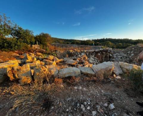 Terreno Rústico  Venda em Santa Bárbara de Nexe,Faro