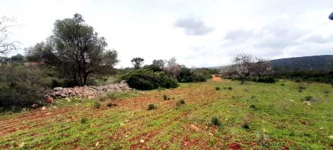 Terreno Rústico  Venda em Boliqueime,Loulé