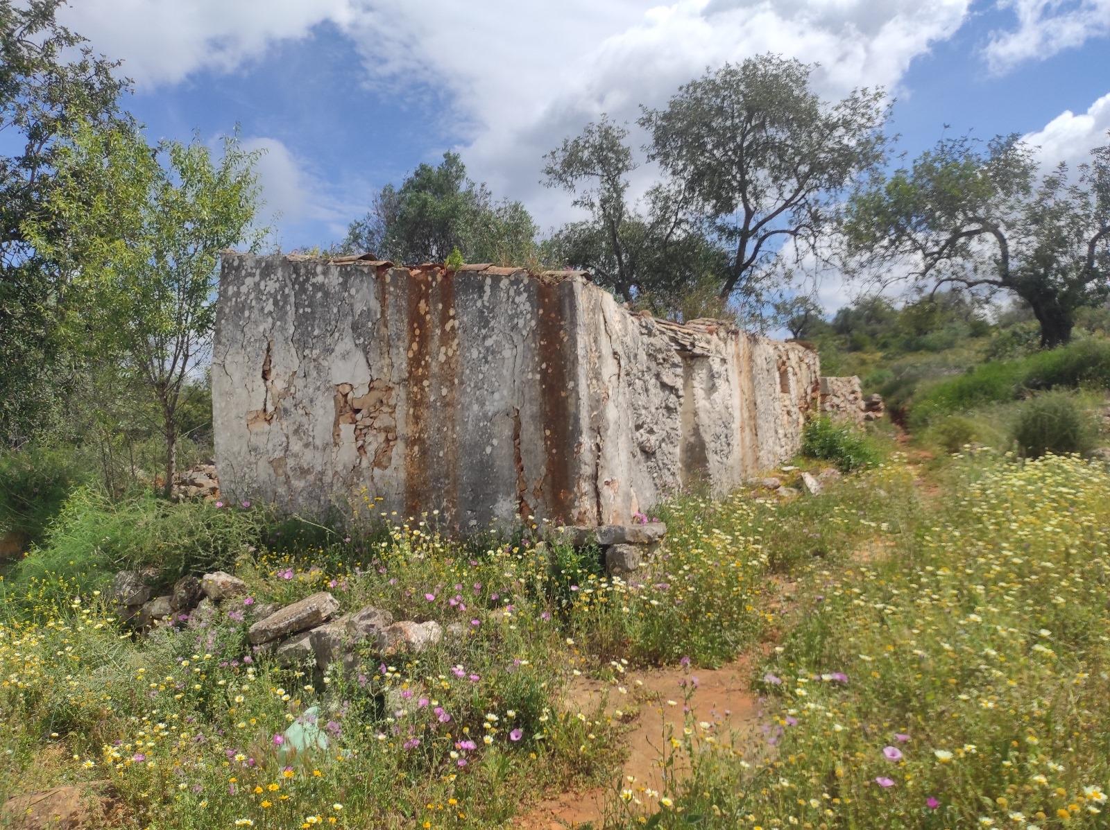 Terreno Misto  Venda em Conceição e Estoi,Faro
