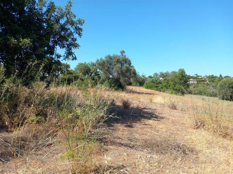 Herdade  Venda em Almancil,Loulé