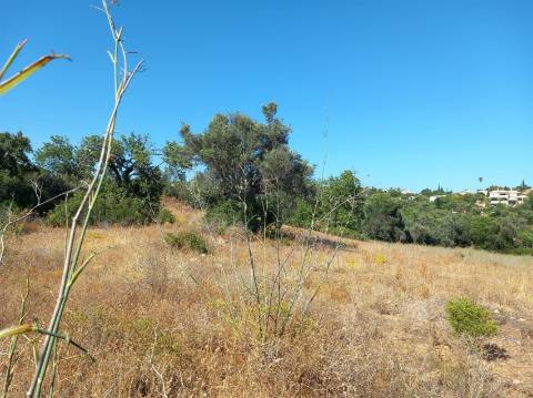 Terreno Urbano  Venda em Almancil,Loulé