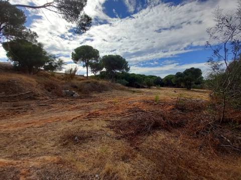 Terreno Rústico  Venda em Almancil,Loulé