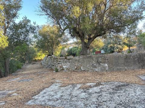 Moradia Isolada T4 Venda em Santa Bárbara de Nexe,Faro