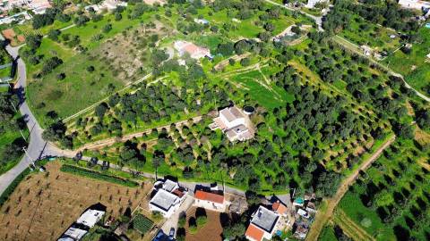 Moradia Isolada T2 Venda em Almancil,Loulé