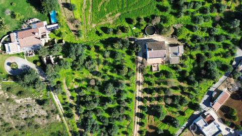 Moradia Isolada T2 Venda em Almancil,Loulé