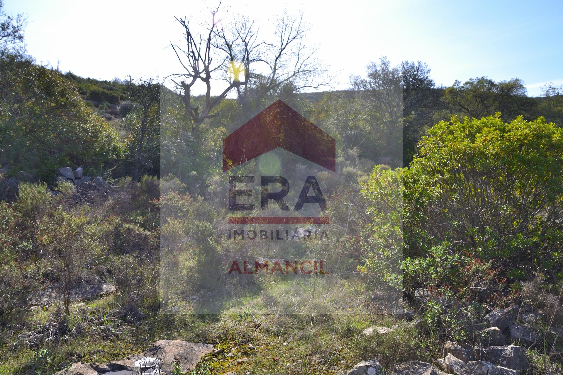 Terreno Rústico  Venda em Santa Bárbara de Nexe,Faro