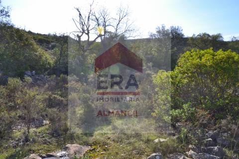 Terreno Rústico  Venda em Santa Bárbara de Nexe,Faro