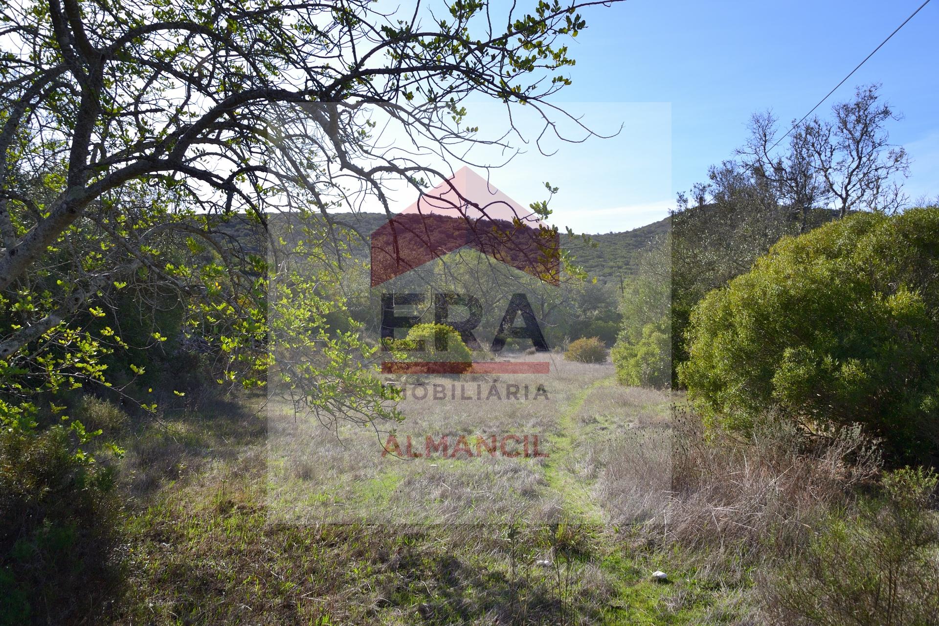 Terreno Rústico  Venda em Santa Bárbara de Nexe,Faro
