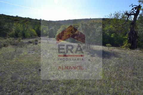 Terreno Rústico  Venda em Santa Bárbara de Nexe,Faro