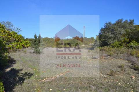 Terreno Rústico  Venda em Santa Bárbara de Nexe,Faro