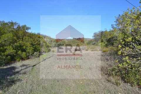 Terreno Rústico  Venda em Santa Bárbara de Nexe,Faro