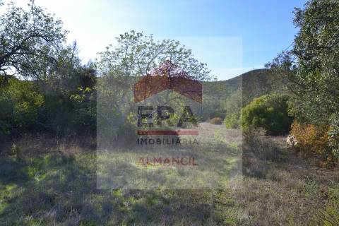 Terreno Rústico  Venda em Santa Bárbara de Nexe,Faro