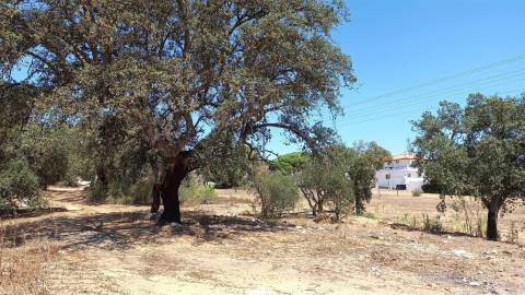 Terreno Para Construção  Venda em Quarteira,Loulé