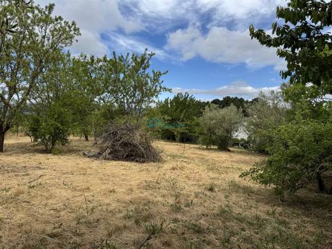Moradia T5 Venda em Arroios,Vila Real