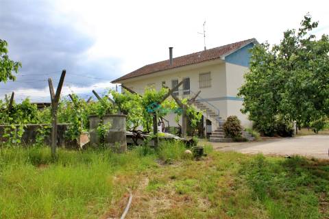 Quinta com vinha e olival.