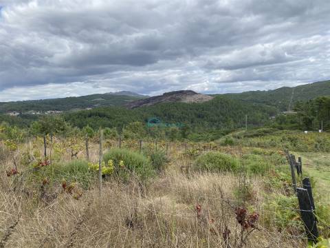 Terreno  Venda em Parada de Pinhão,Sabrosa