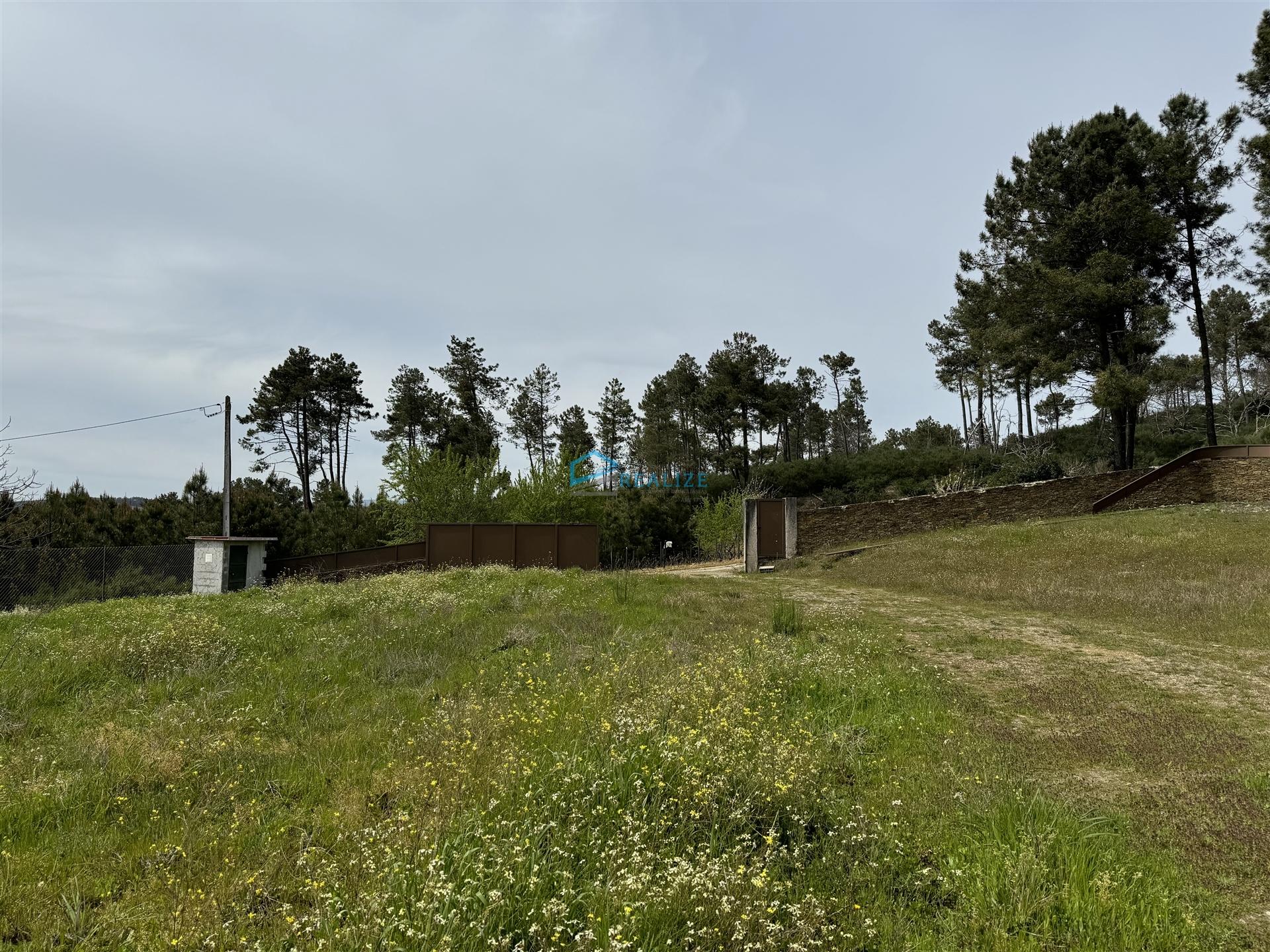 Terreno  Venda em São Martinho de Antas e Paradela de Guiães,Sabrosa