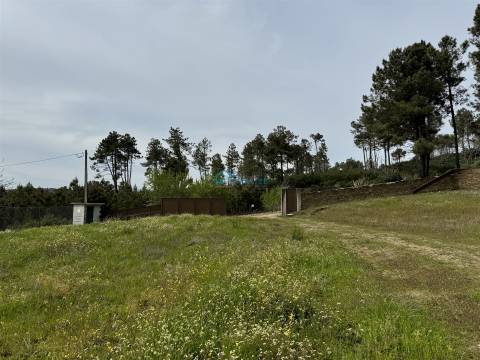 Terreno  Venda em São Martinho de Antas e Paradela de Guiães,Sabrosa