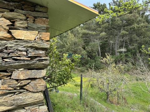 Terreno  Venda em São Martinho de Antas e Paradela de Guiães,Sabrosa