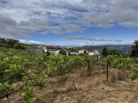 Moradia T5 Venda em Arroios,Vila Real