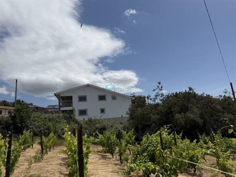 Terreno para construção em Sanfins do Douro, Alijó
