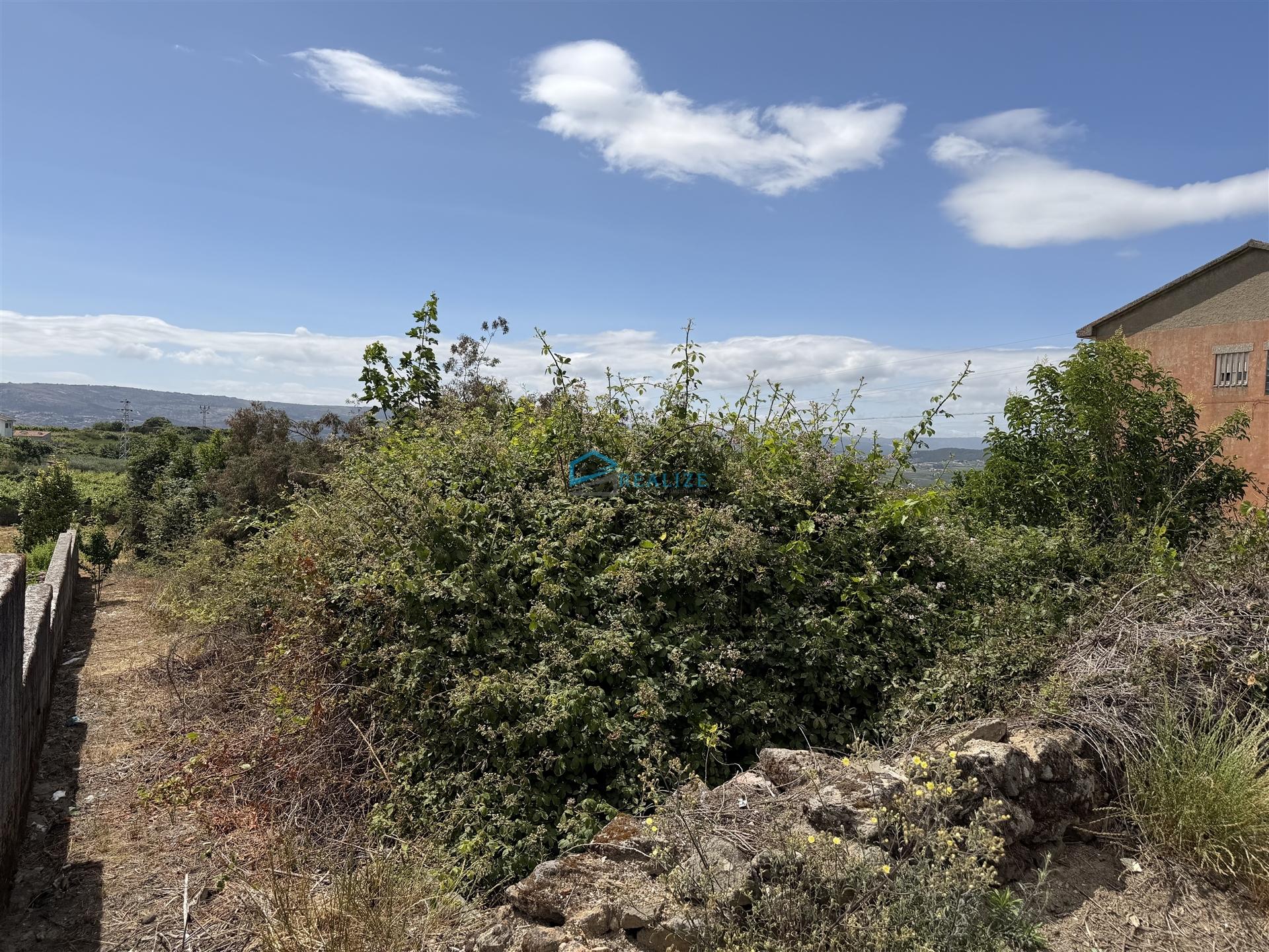 Terreno para construção em Sanfins do Douro, Alijó