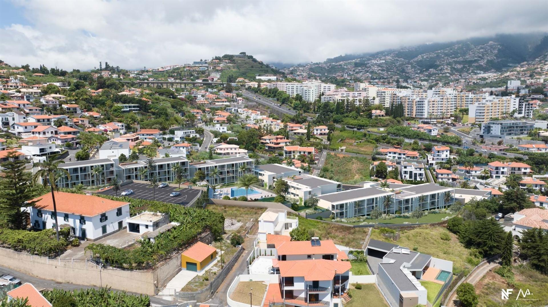 The Hills
