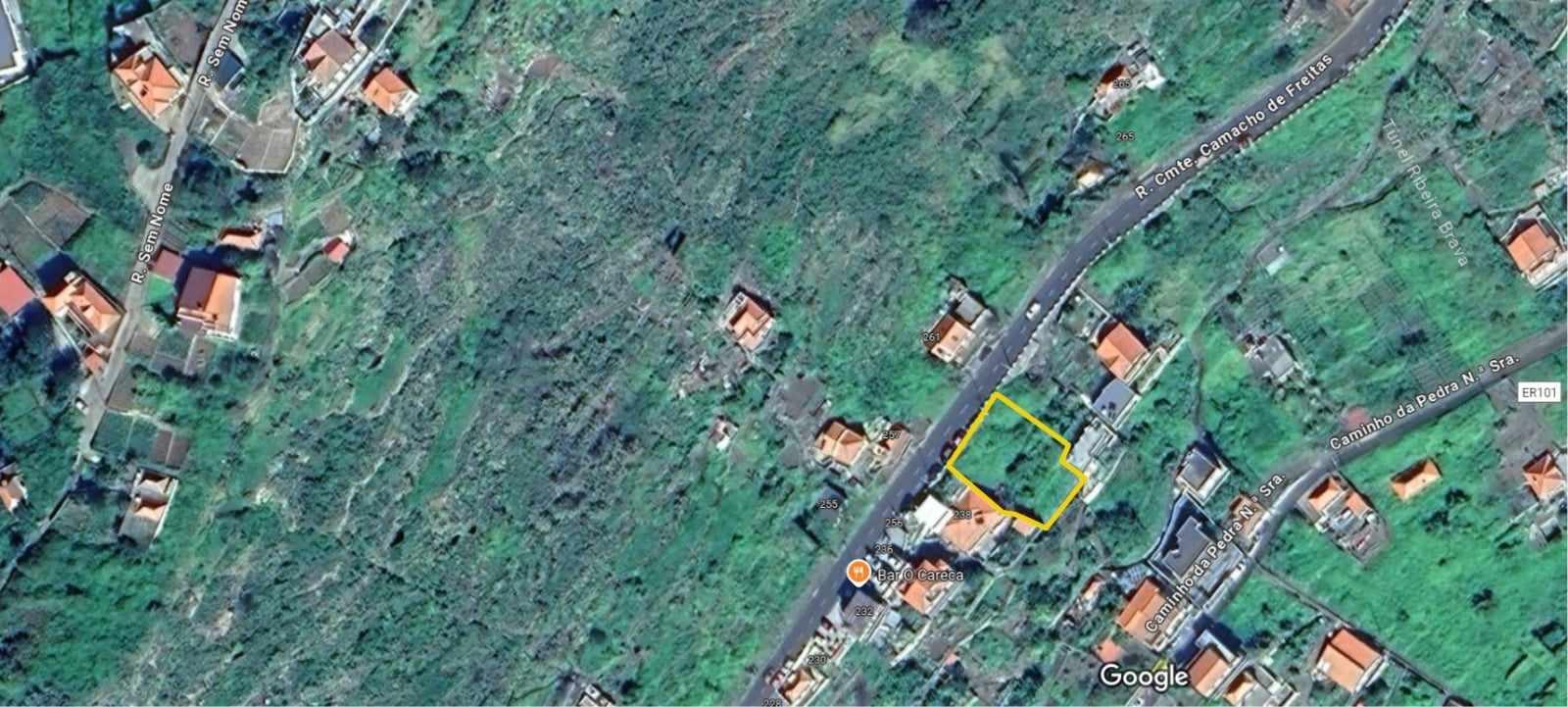 Terreno Rústico  Venda em Campanário,Ribeira Brava
