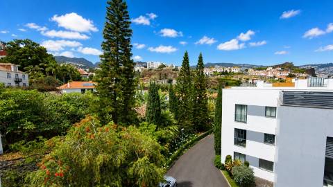 Apartamento T3 Venda em Funchal (São Pedro),Funchal