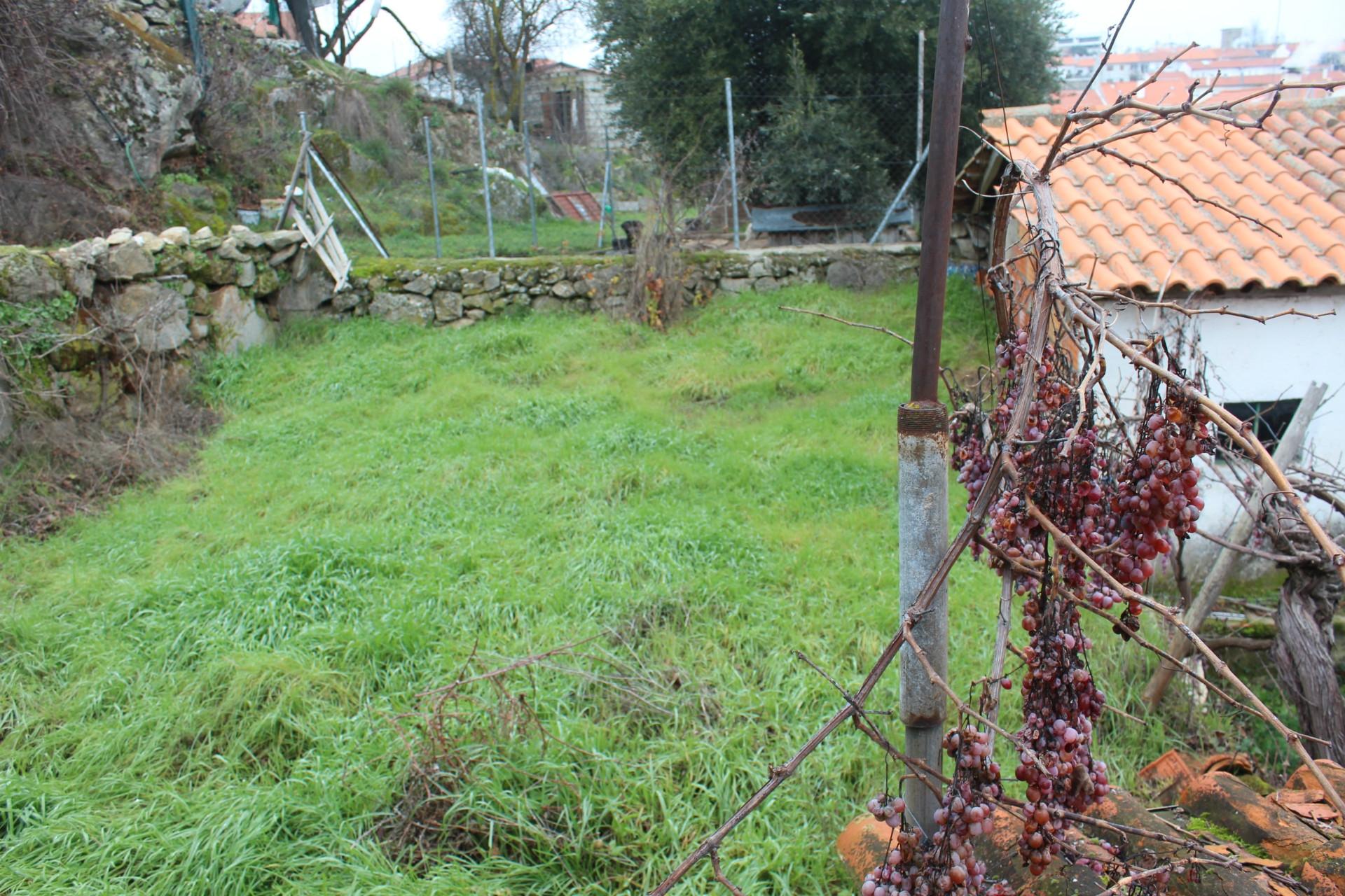 Moradia T3 Venda em Miranda do Douro,Miranda do Douro