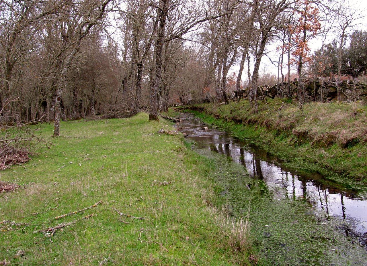 Terreno, Miranda do Douro