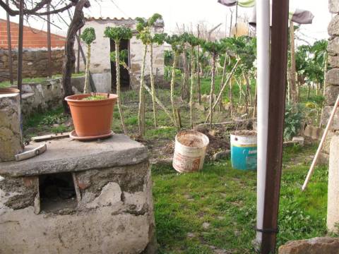 Prédio zona histórica Miranda do Douro
