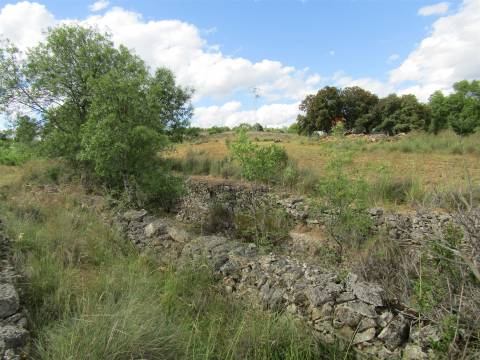 Terreno, Miranda do Douro