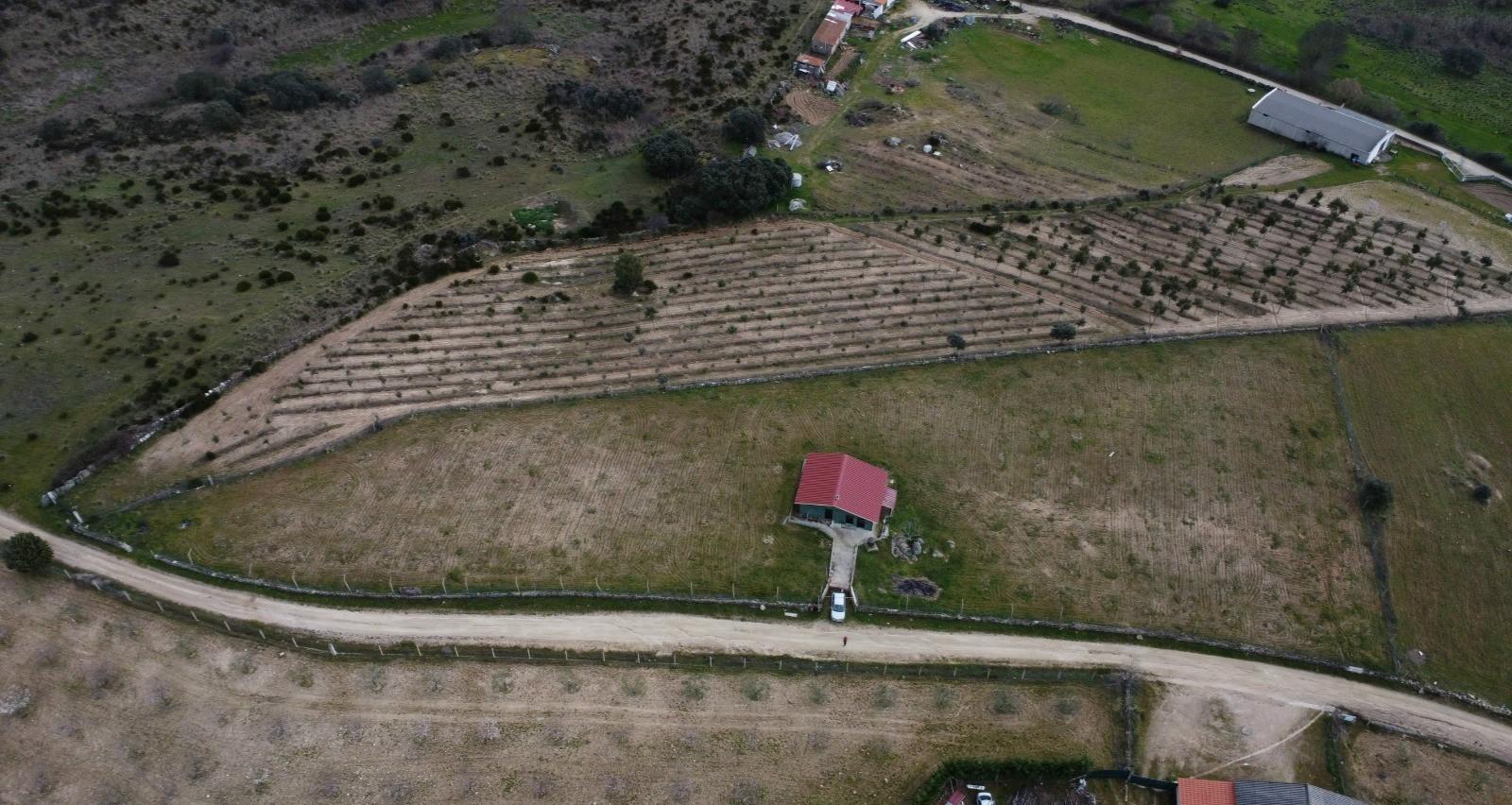 Terreno com arvores de fruto e uma construção, em Miranda do Douro.
