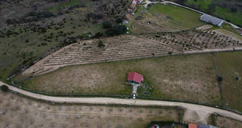 Terreno com arvores de fruto e uma construção, em Miranda do Douro.