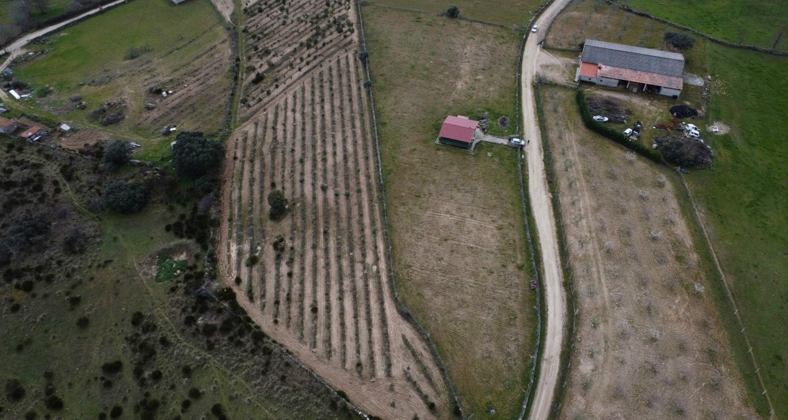 Terreno com arvores de fruto e uma construção, em Miranda do Douro.