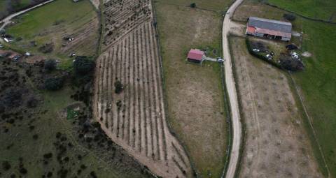 Terreno com arvores de fruto e uma construção, em Miranda do Douro.