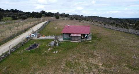 Terreno com arvores de fruto e uma construção, em Miranda do Douro.